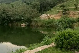 说说中国第一割，孙割视频封面