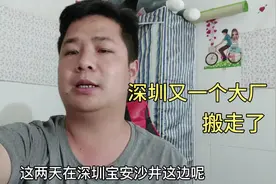 又有成百上千的人要失业，深圳上万人的大厂德昌要搬走了，好可惜视频封面