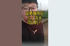 尿素施用后马上浇水可以吗？视频封面