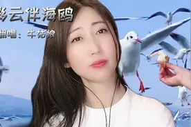 海鸥象征着平安自由，象征着坚强，不畏风暴，勇往直前！……