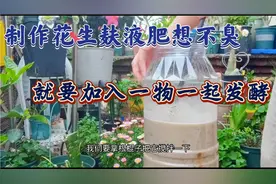 制作花生麸液肥有臭味？只要加入一物即可，可以按照这个流程制作视频封面