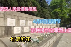 4月5日清明节，武汉汉口解放公园，苏联援华空军烈士墓，摆满鲜花视频封面