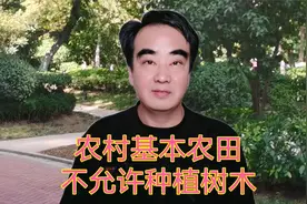 农村的基本农田不能种树，已经种上树的该怎么办，现实很扎心视频封面