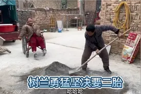树兰摔跟头了，妮娃哈哈大笑，树兰老当益壮坚决不让富德帮忙视频封面