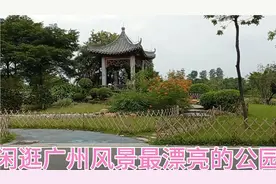 闲逛广州风景最漂亮的公园，突然吹风下大雨，风景变得更美了！视频封面