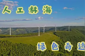 实拍塞罕坝林场，三代人植树造林55年，荒漠变林海是祖国又一奇迹视频封面