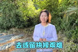 农村媳妇意外怀孕，去或留夫妻俩抉择艰难，一场争议拉开帷幕视频封面