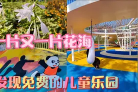 西安奥体中央公园B5区，发现免费的新儿童乐
园，有美丽的花海视频封面