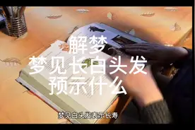 解梦，梦见长白头发预示什么视频封面
