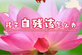 谛深大师禅语妙心孩子自残该怎么办视频封面