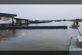 消失两千年的老人言，真正的民间智慧，读懂受益一生
老人言：菜视频封面