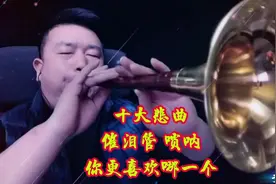催泪管 唢呐 吹奏十大悲曲，你喜欢哪一个？视频封面