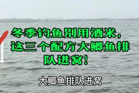 冬季钓鱼别用酒米，这三个配方大鲫鱼排队进窝！