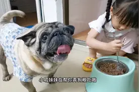 妹妹亲自给狗子拌狗粮，狗子在一旁开心地看着视频封面