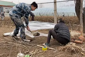 东北小伙不花一分钱搭建简易小暖棚，准备扣韭菜，可惜风太大！视频封面