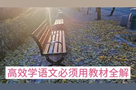 高效学语文必须用教材全解，六个好处很多人不知道。视频封面