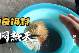 野钓只用一种饵料配方，竟能做到连竿不断上鱼？这是大师专用配方视频封面