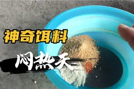 野钓只用一种饵料配方，竟能做到连竿不断上鱼？这是大师专用配方视频封面