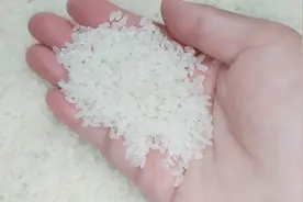 大米长虫不用愁，米店老板教我1个小窍门，1分钟米虫全跑光视频封面