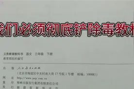温儒敏编写的教材不是很明显能够看出来里面有问题但是会带傻孩子视频封面