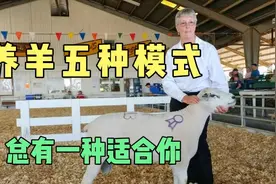 我国养羊的五种模式，选择一种适合我们自己的模式视频封面
