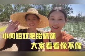 跟小何下水抓田螺，过程超搞笑，还聊起小时候的事情视频封面