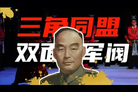 打仗没赢过，升官没停过的奥秘——胡宗南和戴笠、汤恩伯的小圈子视频封面