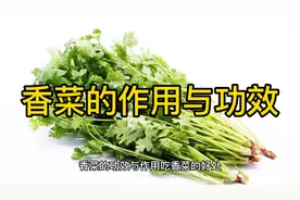 香菜的作用与功效视频封面