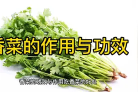 香菜的作用与功效视频封面