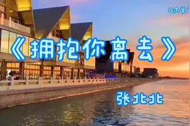 悲伤该如何全身而退？《拥抱你离去》张北北