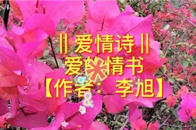 爱的情书满天飞