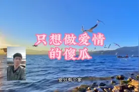 只想做爱情的傻瓜，安分有个家，唱到心坎去了……变得现实了视频封面