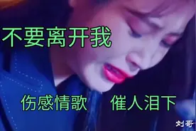 雨中百合2022伤感情歌《不要离开我》句句入心，声声感人，超好听视频封面