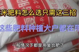 玉米肥料怎么选，只需这三招，种植大户都用这些肥料 ，产量高。视频封面