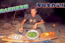 海岛生存记续，下网四个小时都啥情况，还好岛上还有其他的储备粮视频封面