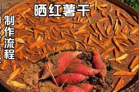 红薯大丰收，分享莆田农村传统红薯干做法，方法简单放一年不会坏视频封面