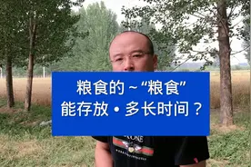 粮食的“粮食”，能存放多久？