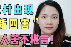 农村出现“新四害”，几乎村村都有，让很多农民苦不堪言视频封面