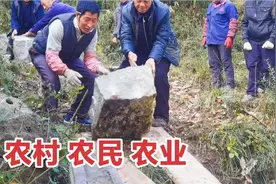 农村真实劳动场景记录，农民真的了不起，为农民点赞！视频封面