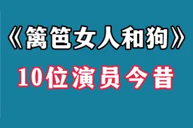 《篱笆女人和狗》演员今昔，没有帅哥美女，却走出一屋子老戏骨视频封面