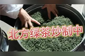 山东临沂农村手工炒制绿茶，150℃高温提香，纯正沂蒙山地茶视频封面