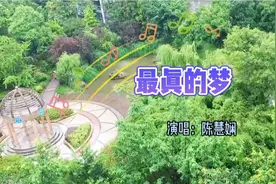 经典老歌《最真的梦》陈慧娴国语版，完美声线，听你千遍也不厌倦视频封面
