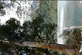 喜马拉雅山脉南麓的绝美风光——新219察隅到墨脱段（请点全幅）视频封面