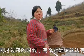 四川人最爱吃野生折耳根，二妹去挖点来凉拌，清脆爽口又下饭视频封面