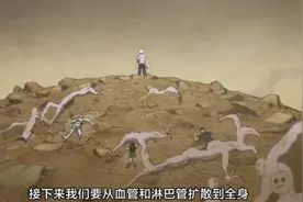 所以你看你身体里每天有多少细胞在为你战斗视频封面