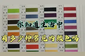 你知道生活中有多少种常见的颜色吗？一张色卡告诉你视频封面