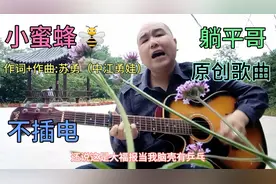 《小蜜蜂》作词+作曲:苏勇（中江勇娃）躺平哥原创歌曲，家蜂野蜂