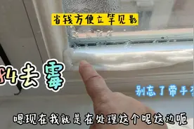 84去霉省钱方便立竿见影，一定要和姐妹们分享，别忘了带手套哟视频封面