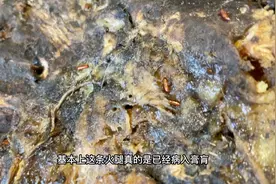 翻车翻到家了，火腿表面全是虫卵还有酸酱味，原来全是针眼惹的祸