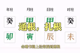 子平术之——四柱命理术语“通根”指的什么视频封面